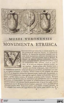 Musei Veronensis monumenta etrusca