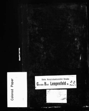 Gerichtshandelsbuch von Grün (bei Lengenfeld), Bd. 4