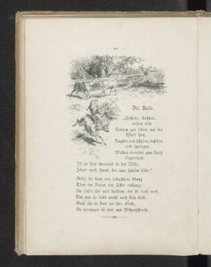 Die Rehe.