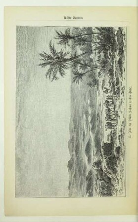 15. Aus der Wüste Sahara (rechts Oase)