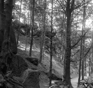 Waldweg bei Karlsbad mit Felsformationen