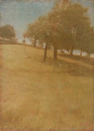 Landschaft