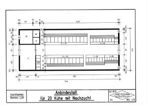 Anbindestall für 20 Kühe mit Nachzucht