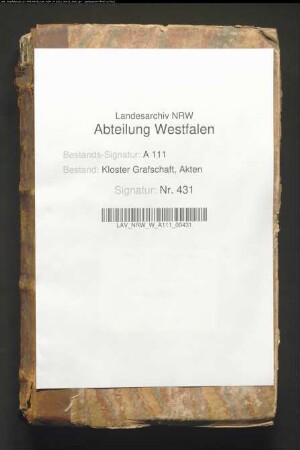 Protokolle, Reversale und andere Lehnssachen