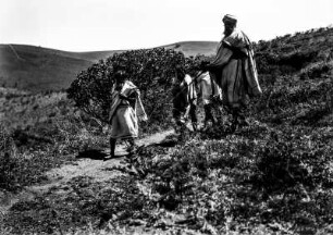 Marsch (Deutsche Indien-Expedition 1926/1929 - 5. Südindien)