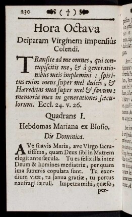 230-309, Hora Octava