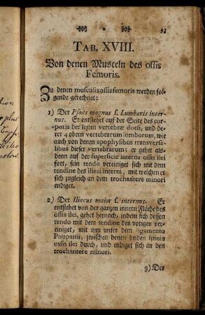 Tab. XVIII. Von denen Musceln des ossis Femoris.