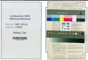 Entnazifizierung Carl Beltzig , geb. 06.01.1901 (Werbeberater)