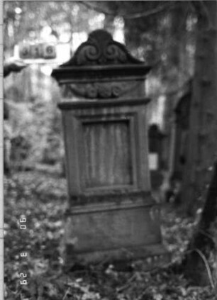 Grabstein 316 (neu: 736)