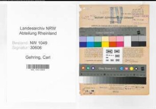 Entnazifizierung Carl Gehring , geb. 06.08.1896 (Bahninspektor)