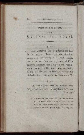 Dritter Abschnitt. Vom Gerippe der Vögel