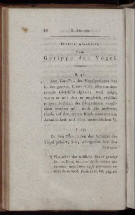 Dritter Abschnitt. Vom Gerippe der Vögel
