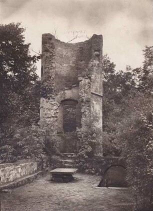 Diemerstein, Ruine. Treppenturm 16. Jahrhundert