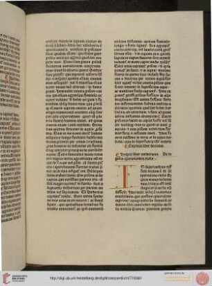 Liber undecimus