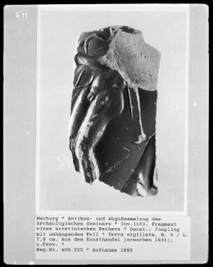Fragmente eines arretinisches Gefäßes (Terra Sigillata)