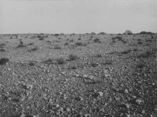 Wüstenlandschaft : Blick über eine Wüstenlandschaft