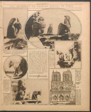 Las "quimeras" de nuestra Señora de París [Fotografías y dibujo]