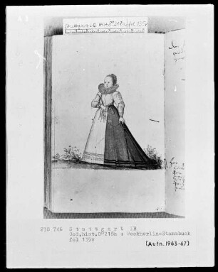 Stammbuch des Rudolf Weckherlin — Junge Frau, Folio 135verso