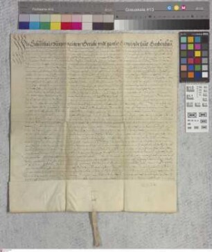 Gräfenhausen: Erbleihrevers der Gemeinde Gräfenhausen über einige Wiesen zu Gräfenhausen