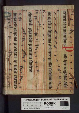 Ioan. A Wovver De Polymathia Tractatio : Integri Operis de studiis Veterum apospasmation
