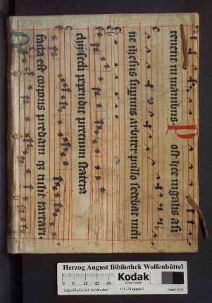 Ioan. A Wovver De Polymathia Tractatio : Integri Operis de studiis Veterum apospasmation