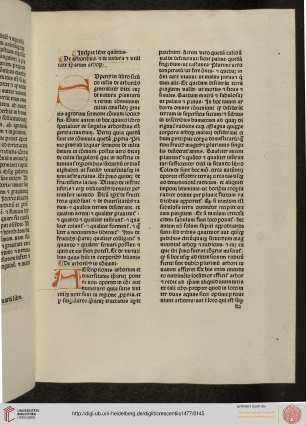 Liber quintus