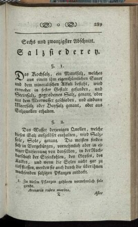 Sechs und zwanzigster Abschnitt. Salzsiederey.