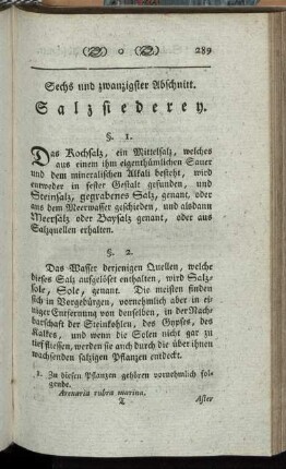 Sechs und zwanzigster Abschnitt. Salzsiederey.
