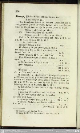 Krapp, Färber=Röthe; Rubia tinctorum