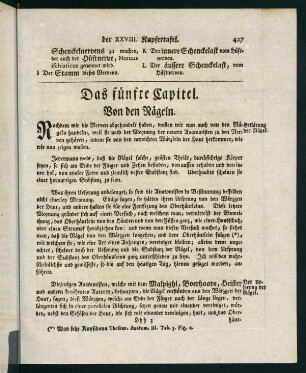 427-438, 5. Capitel - 7. Capitel
