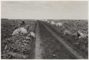 Waldinsel in einer Mulde im Grasland nordwestlich von Entre Rios : 13,2 km von Entre Rios entfernt, Höhe: 475 m