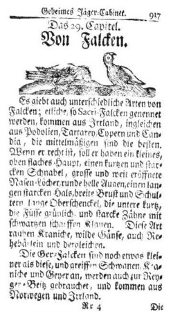 Das 29. Capitel. Von Falcken.