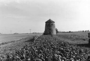 Dahlen-Börln. Turmholländer