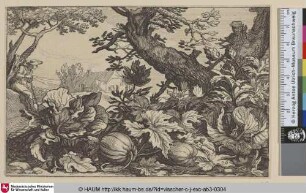 [Baum und Melonen; Tree and Melons]
