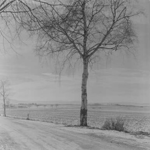 Landschaften : Oberlausitz. Lausitzer Bergland. Winteraufnahme
