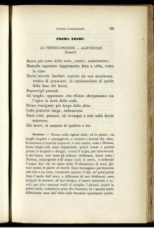 Prima Tribù. Le Pernici-Piccioni. - Alectrides.