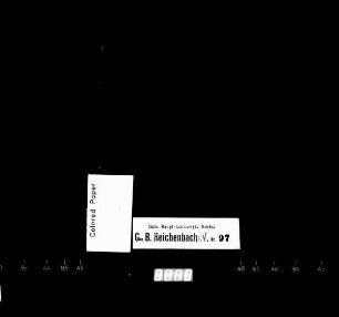 Gerichtshandelsbuch von Oberneumark