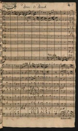 Siehe da ist euer Gott; V (4), strings, bc