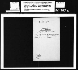 Legnani, Delfino; Regisseur