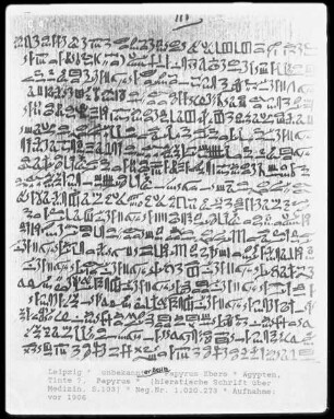 Papyrus Ebers