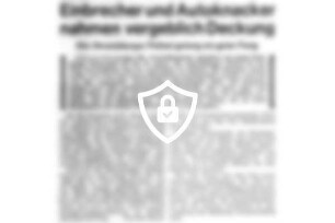 Einbrecher und Autoknacker nahmen vergeblich Deckung
