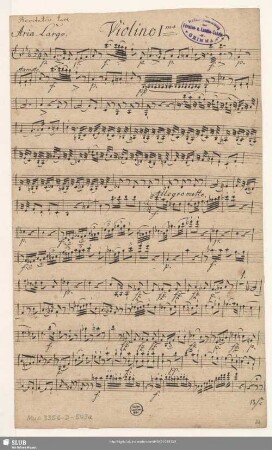 Violino Imo.