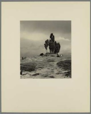 Landschaft mit Zypressen