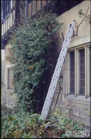 Potsdam, Neuer Garten, Schloss Cecilienhof, Pyracantha.