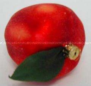 Apfel, rot