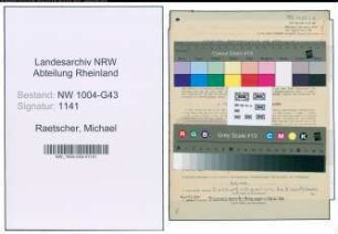 Entnazifizierung Michael Raetscher , geb. 16.07.1911 (Kaufm.Angestellter)