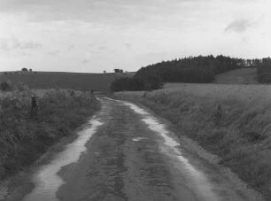 Wuischke. Feldweg