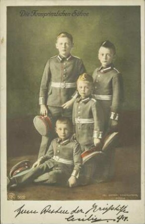 Die Kronprinzlichen Söhne