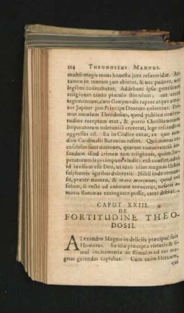 Caput XXIII. De Fortitudine Theodosii.