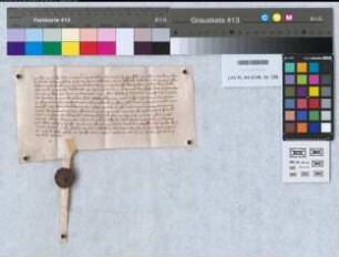 [Wicbold vor den Haghen; betr. von Merfeld herrührende Besitzungen bzw. Rechte]